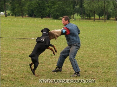 Training camp - Lukova 2007